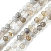 Natural Botswana Agate Beads Strands G-F748-B01-01-1
