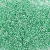 12/0 Glass Seed Beads X-SEED-A015-2mm-2218-2