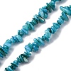 Natural Freshwater Shell Beads Strands BSHE-I016-01A-1