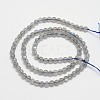 Natural Labradorite Round Bead Strands G-M263-A-03-2