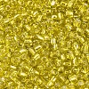 6/0 Glass Seed Beads X2-SEED-A005-4mm-30-3
