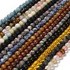 Natural Wood Lace Stone/Blue Spot Jasper/Black Netstone/Opal/Cherry Blossom Glass Beads Strands G-P562-C-02-1