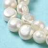 Natural Cultured Freshwater Pearl Beads Strands PEAR-E017-04-4