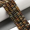 Natural Picasso Jasper Beads Strands G-Q161-B01-02-2