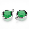 K9 Glass Charms X1-GLAA-T023-37B-05-2