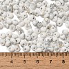 Baking Paint Glass Seed Beads SEED-F006-01A-09-4