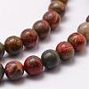 Natural Polychrome Jasper/Picasso Stone/Picasso Jasper Bead Strands G-D840-85-12mm-3