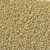 MIYUKI Round Rocailles Beads X-SEED-G008-RR0578-4