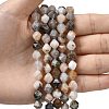 Natural Bamboo Leaf Agate Beads Strands G-Z119-A27-02-2
