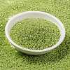 MIYUKI Round Rocailles Beads SEED-X0056-RR0439-2