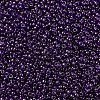 MIYUKI Round Rocailles Beads SEED-X0054-RR0308-3
