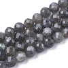 Natural Labradorite Beads Strands G-S345-8mm-005-1