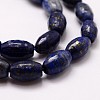Nature Lapis Lazuli Beads Strands X-G-G878A-A25-3