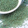 MIYUKI Round Rocailles Beads SEED-G007-RR0374-1
