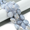 Natural Blue Lace Agate Beads Strands G-G117-B07-02-2