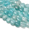 Natural Amazonite Beads Strands GG-D001-B01-3