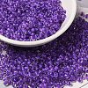 6/0 Transparent Glass Seed Beads SEED-F003-03A-09-1