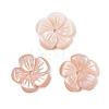 Natural Pink Shell Carved Beads SSHEL-I026-12B-02-1