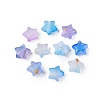 Frosted Acrylic Beads FACR-CJC0008-01J-2