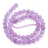 Natural Amethyst Beads Strands G-P503-8MM-08-3