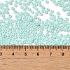 Baking Paint Glass Seed Beads SEED-P006-03A-29-4