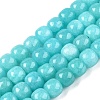 Dyed Natural White Jade Beads Strands G-T138-S10-4