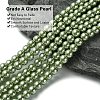 Eco-Friendly Dyed Glass Pearl Beads Strands HY-A008-6mm-RB055-3
