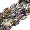 Handmade Lampwork Beads Strands LA-N046-02C-1