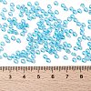 MIYUKI Round Rocailles Beads X-SEED-G008-RR0148-2