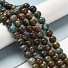 Natural Turquoise Beads Strands G-P506-04D-03-4