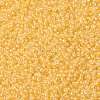 MIYUKI Round Rocailles Beads X-SEED-G008-RR0202-3