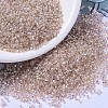 MIYUKI Delica Beads SEED-X0054-DB1203-1