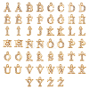 DICOSMETIC 2 Sets Alloy Rhinestone Charms ALRI-DC0001-07-1