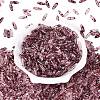Picasso Transparent Glass Seed Beads SEED-N012-11E-2