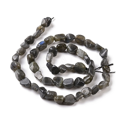 Natural Larvikite Beads Strands G-A208-08-1