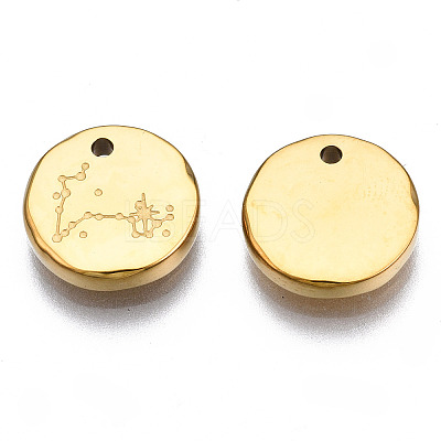 316 Surgical Stainless Steel Charms STAS-S116-418L-G-1