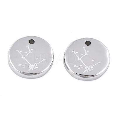 Non-Tarnish 316 Surgical Stainless Steel Charms STAS-S116-418A-P-1