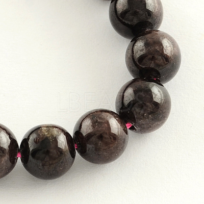 Natural Garnet Gemstone Bead Strands X-G-R263-6mm-1
