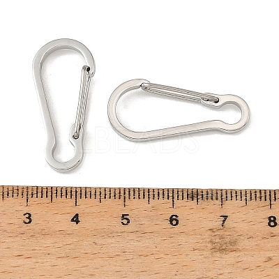 304 Stainless Steel Rock Climbing Carabiners STAS-F364-02P-01-1