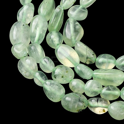 Natural Prehnite Beads Strands G-G018-64-1