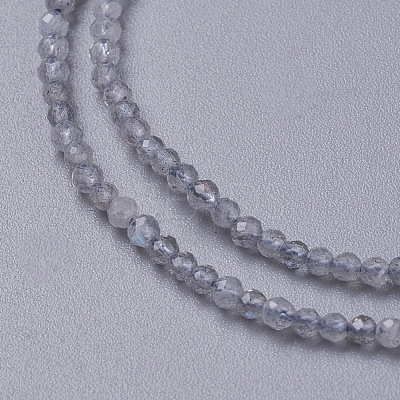 Natural Labradorite Beads Strands G-F596-43-2mm-1