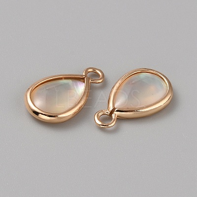 Natural White Shell Teardrop Charms with Enamel FIND-WH0159-52A-KCG-1