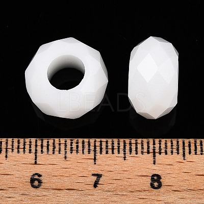 Glass European Beads GDA007-100-1