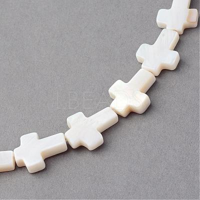 Natural Freshwater Shell Beads Strands SSHEL-Q296-34-1