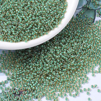 MIYUKI Round Rocailles Beads SEED-G007-RR0374-1