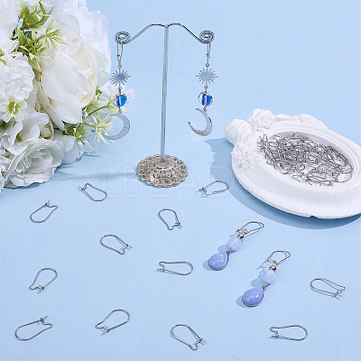60Pcs 316 Surgical Stainless Steel Hoop Earrings Findings STAS-BBC0010-02-1