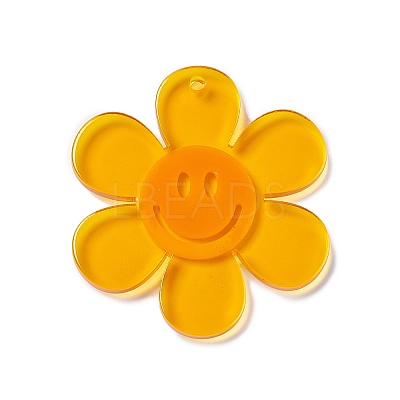 Transparent Acrylic Big Pendants LS-OACR-P012-A01-1