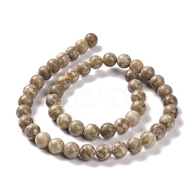 Natural Maifanite/Maifan Stone Beads Strands G-I187-8mm-01-1