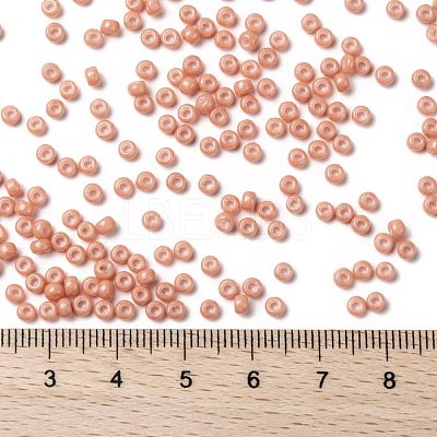 MIYUKI Round Rocailles Beads X-SEED-G008-RR4462-1