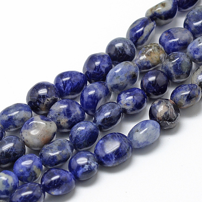 Natural Sodalite Beads Strands G-R445-8x10-04-1